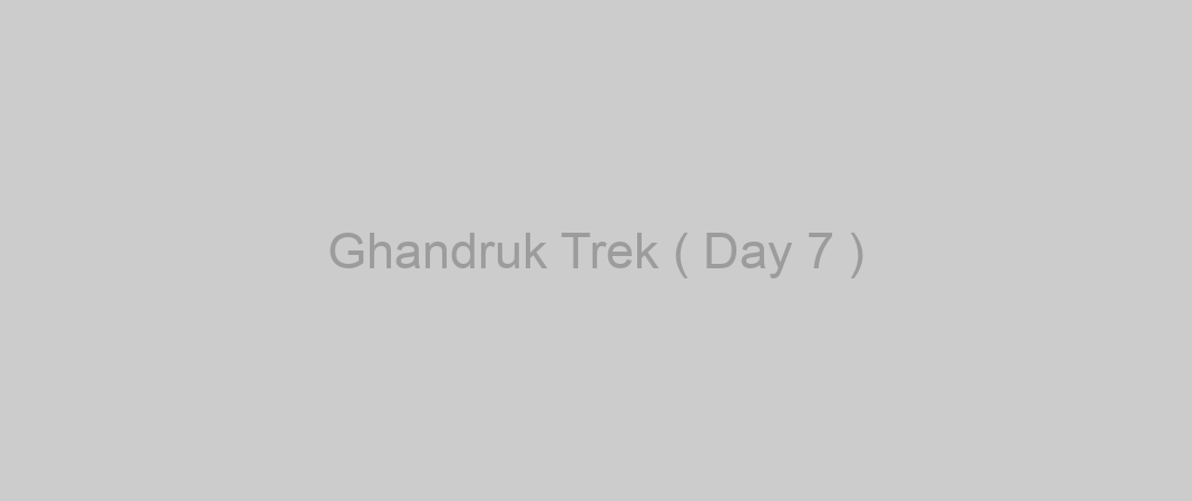 Ghandruk Trek ( Day 7 )